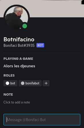 screenshot of discord profile of the bot